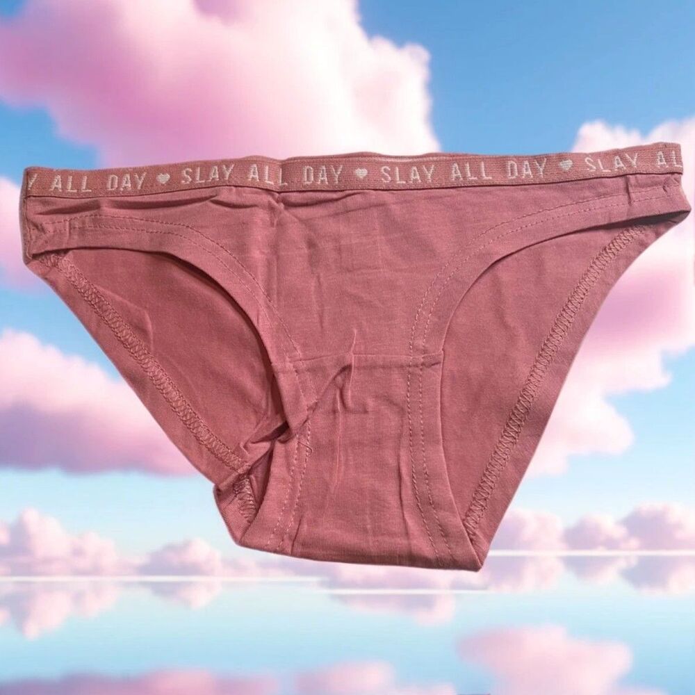 New Bikini Brief Slay All Day Small Panties Underwear NWOT